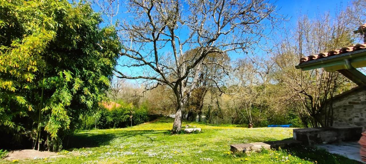 Entre Galets Leilighet Sauveterre-de-Bearn Eksteriør bilde